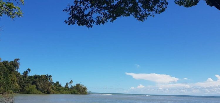 Ilet la Mère : Découvrez ce petit coin de paradis niché au cœur de la nature