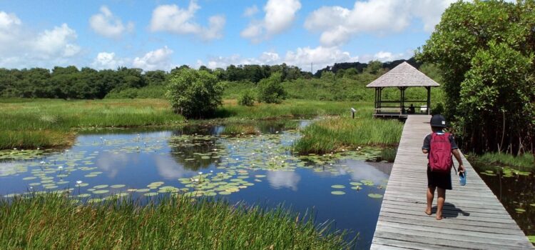 Découvrez le magnifique Sentier des Salines : un voyage inoubliable au cœur de la nature