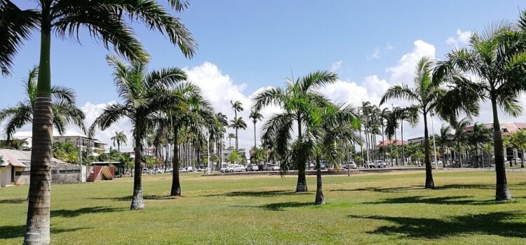 Découvrez la splendeur de la Place des Palmistes, un joyau historique au cœur de Cayenne